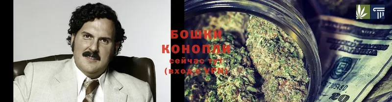 Шишки марихуана OG Kush  Таштагол 